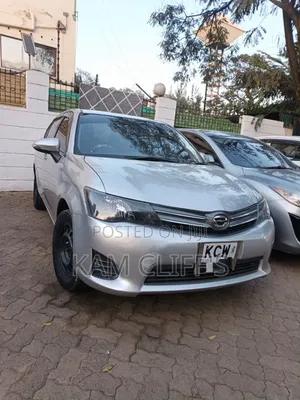 Toyota Axio 2012 Silver