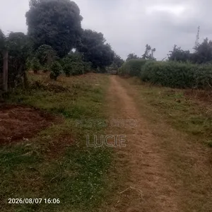 Plot for Sale