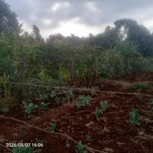 Plot for Sale