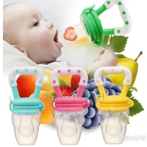 Baby Silicone Fruit Pacifier Feeder