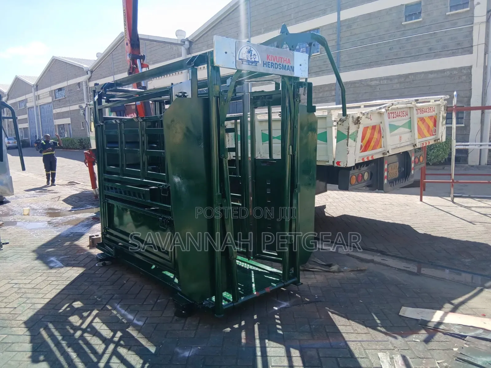 Heavy-Duty Cattle Squeeze Chute (Cattle Crush) to Restrain Livestock