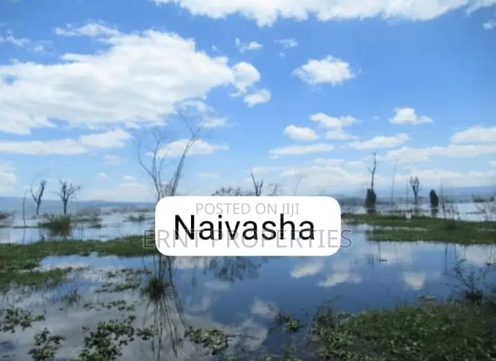 HOT SALE: 120 Acres Touching Lake Naivasha