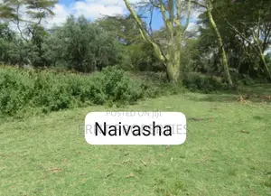 HOT SALE: 120 Acres Touching Lake Naivasha