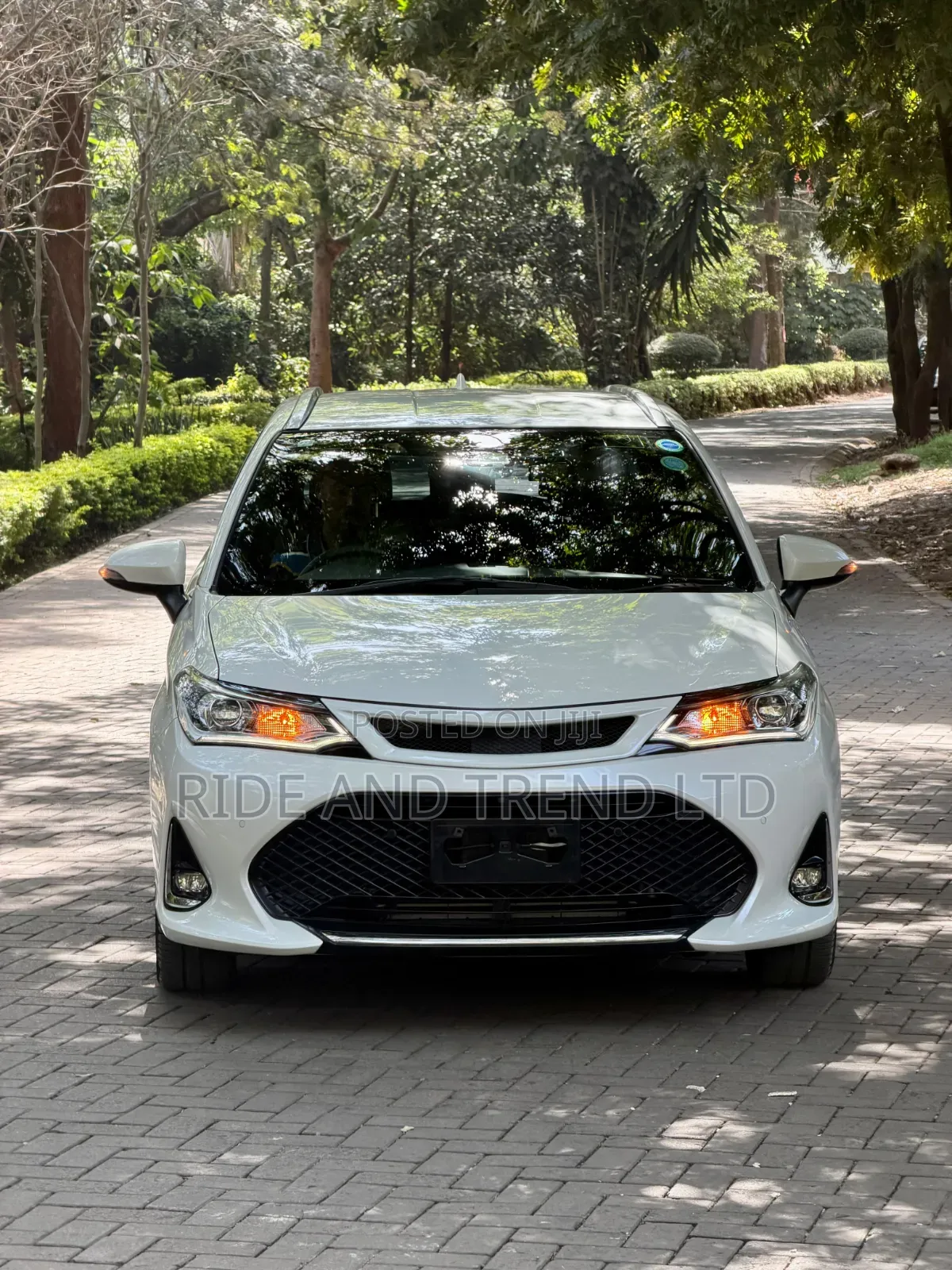 Toyota Corolla Fielder 2019 White