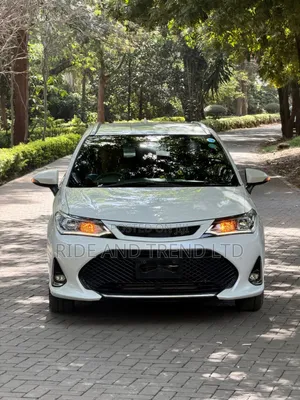 Toyota Corolla Fielder 2019 White