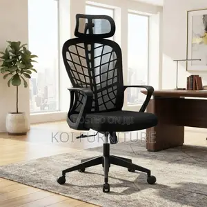 Office Chairs; Ergonomic Office Chairs With Web Backtrest