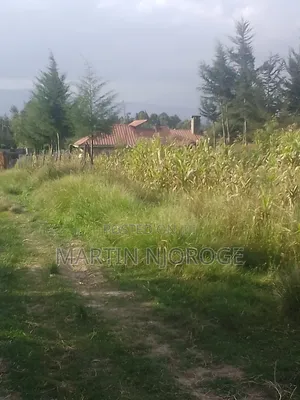 75 by 100 Kwa Ngothi, Ndunyu Njeru