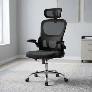 Office Chair; Ergonomic Office Chair With Lumbar Support