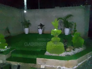 Make Your Surroundings Look Professionally Finished With Grass Carpet