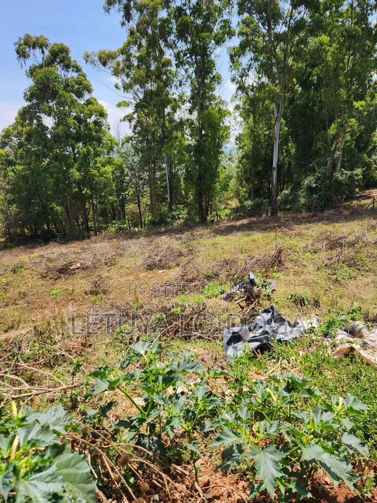 1-Acre on Sale Ngong-Maragara/Lemiso Road