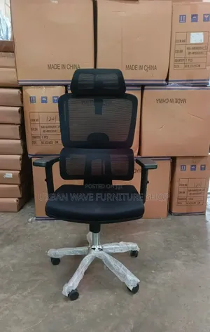 Orthopaedic Office Chair