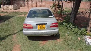 Toyota Corolla 2000 Gray