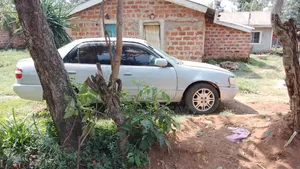 Toyota Corolla 2000 Gray