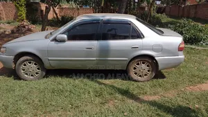 Toyota Corolla 2000 Gray