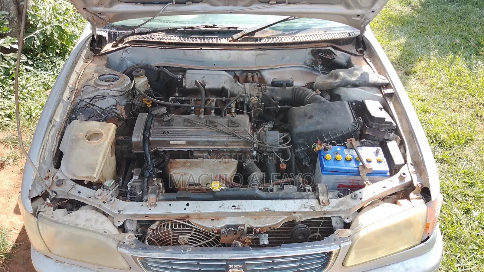 Toyota Corolla 2000 Gray