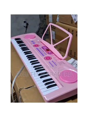 Professional  Piano With  in Built Battery