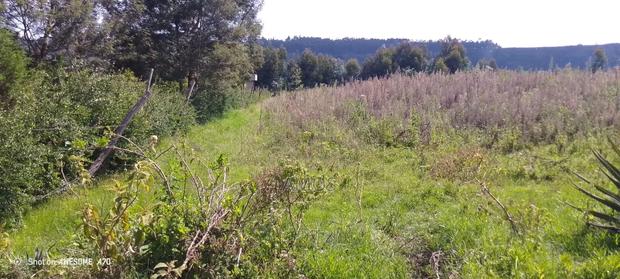 1⁄4acre for Sale in Ndeiya Ndiuni Near Kwa Wanene Shopping Center