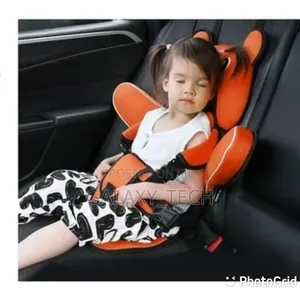 Portable BABY Seat Cushion