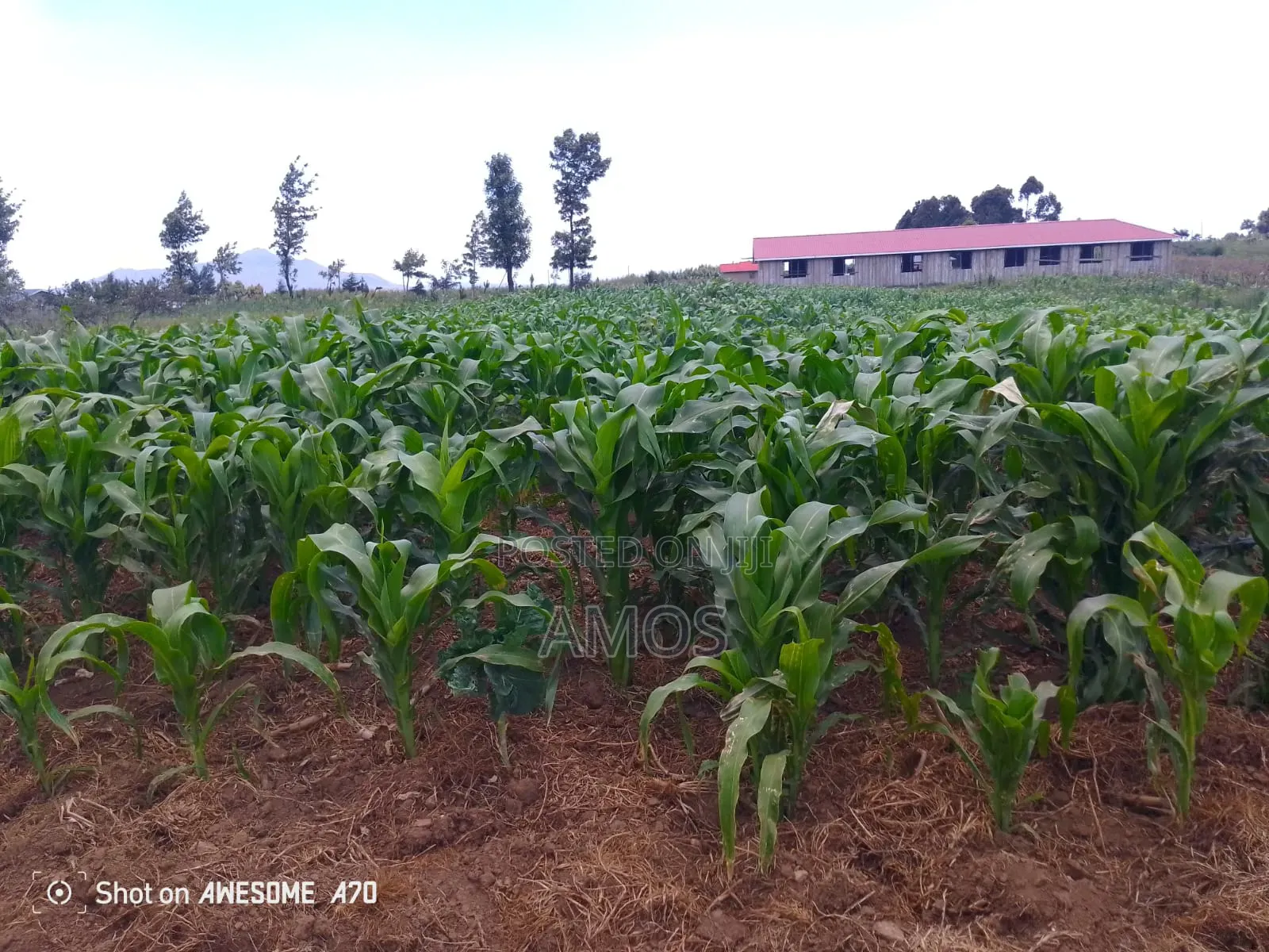 1⁄4ac Plot Flyover Kinangop Next to Flyover Technical College