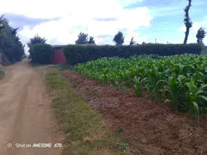 1⁄4ac Plot Flyover Kinangop Next to Flyover Technical College