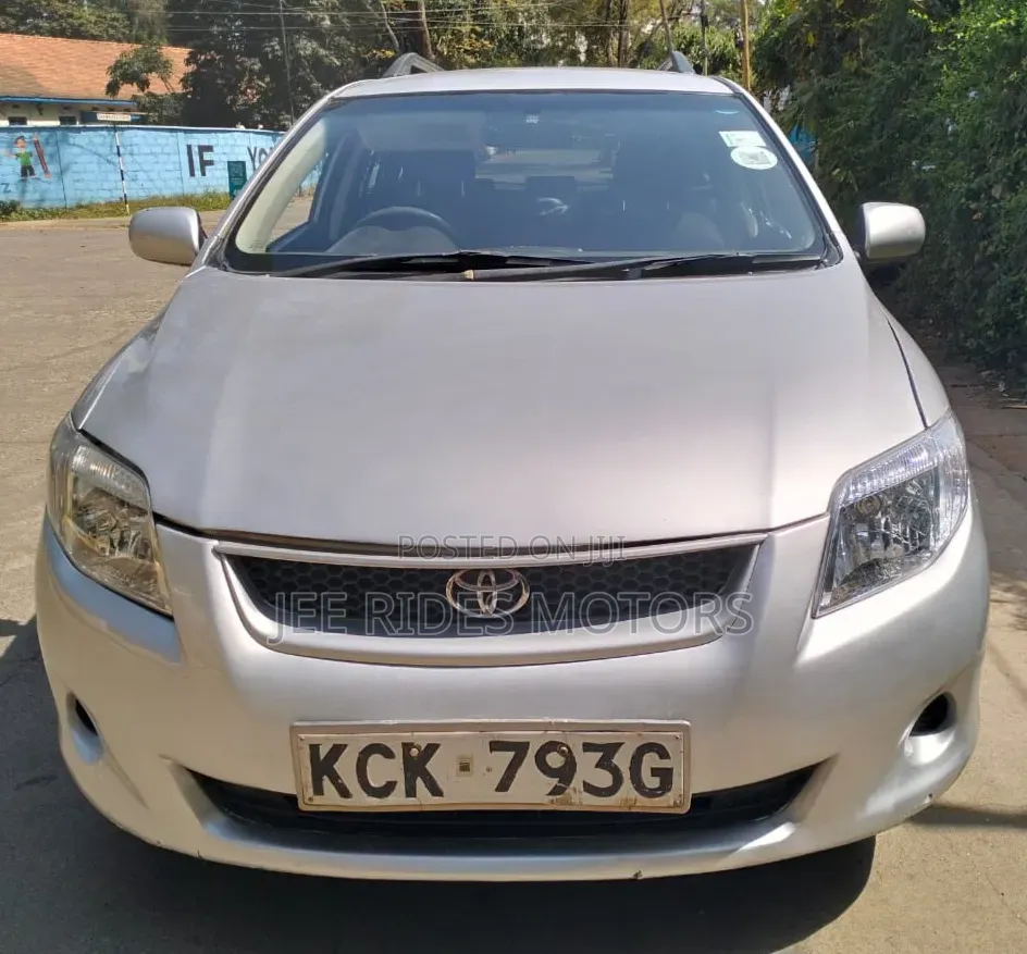 Toyota Corolla Fielder 2009 Silver