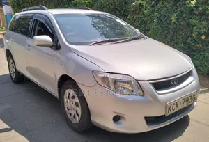 Toyota Corolla Fielder 2009 Silver