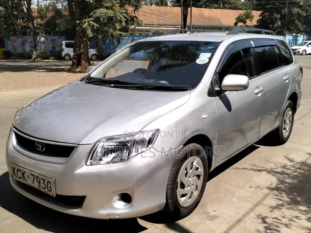 Toyota Corolla Fielder 2009 Silver