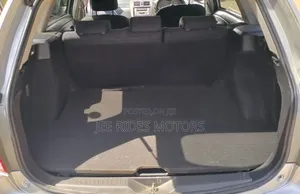 Toyota Corolla Fielder 2009 Silver