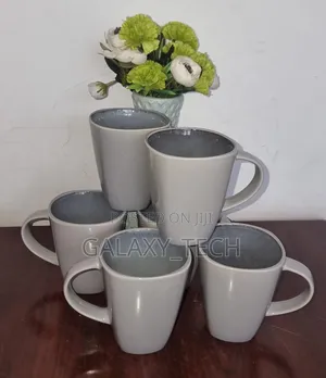 6pcs Set Ceramic Mugs