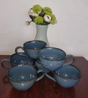 6pcs Set Ceramic Mugs