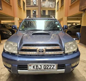 Toyota Hilux Surf 2002 Gray