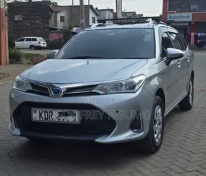 Toyota Corolla Fielder 2018 Silver