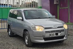 Toyota Probox 2015 Silver