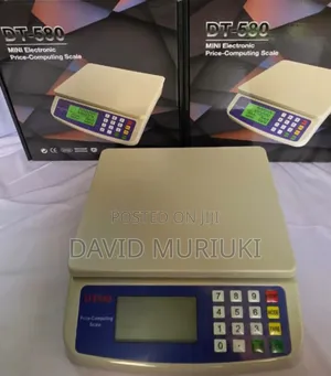 DT580 30KG Digital Platform Weighing Scale