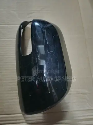 Vigo/Vanguard/Noah Sidemirror Cover