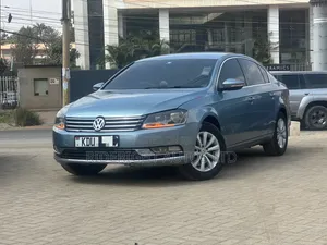 Volkswagen Passat 2013 Blue