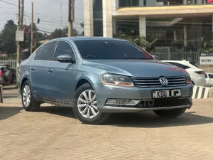 Volkswagen Passat 2013 Blue