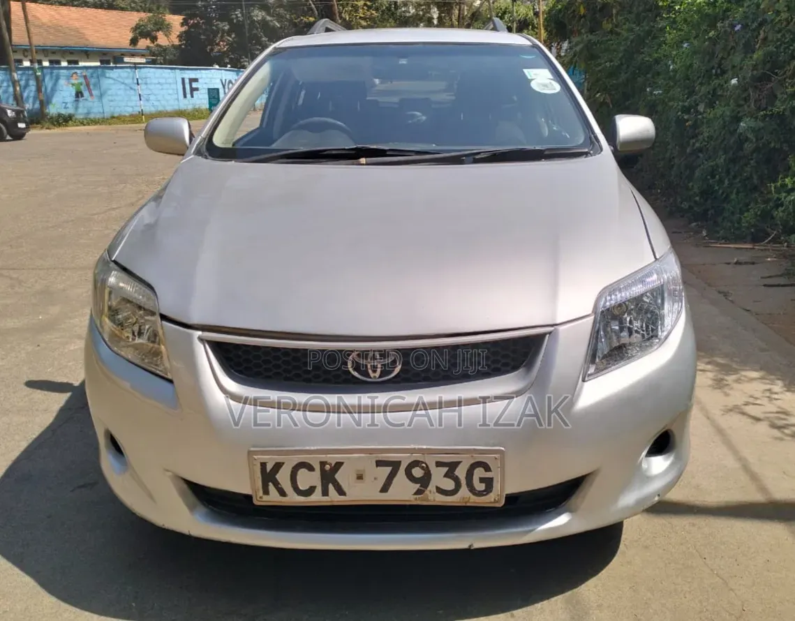 Toyota Corolla Fielder 2009 Silver