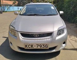 Toyota Corolla Fielder 2009 Silver