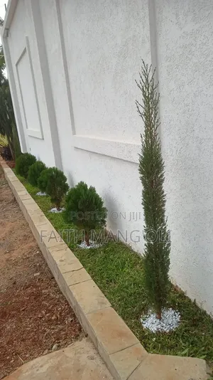 Landscaping and Gardening