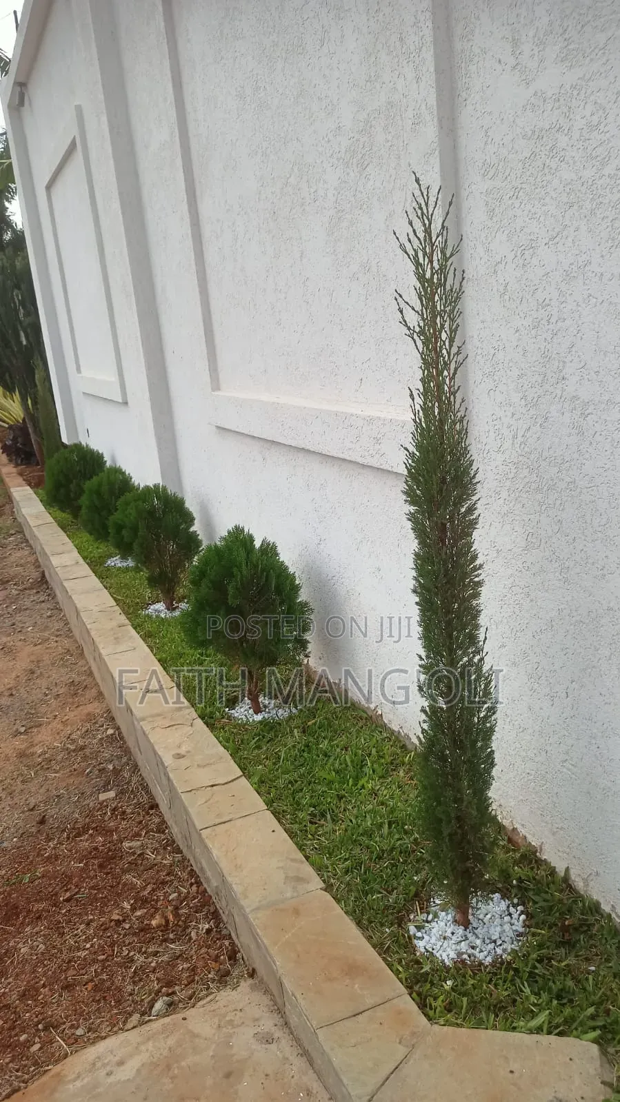Landscaping and Gardening