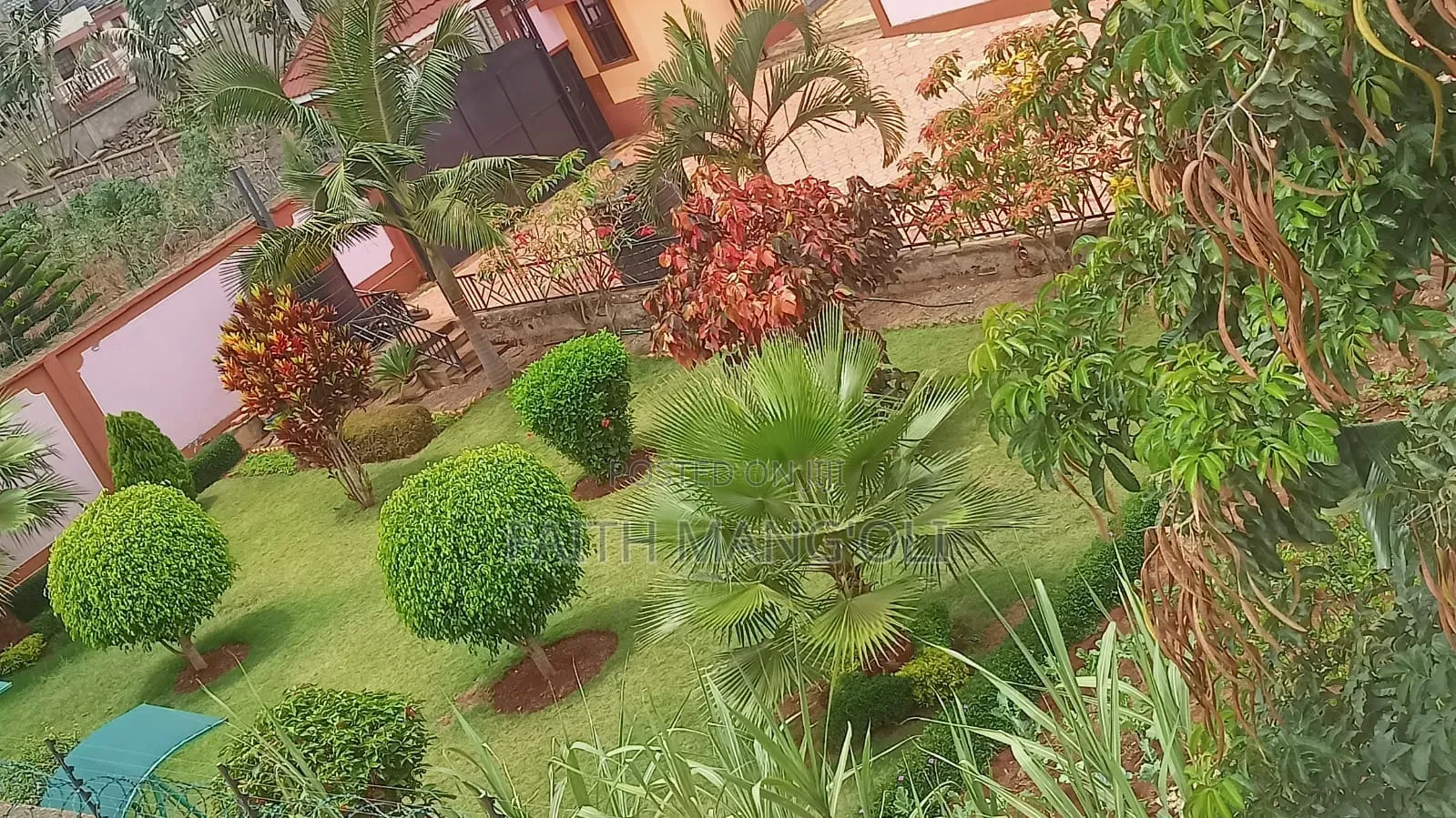 Landscaping and Gardening