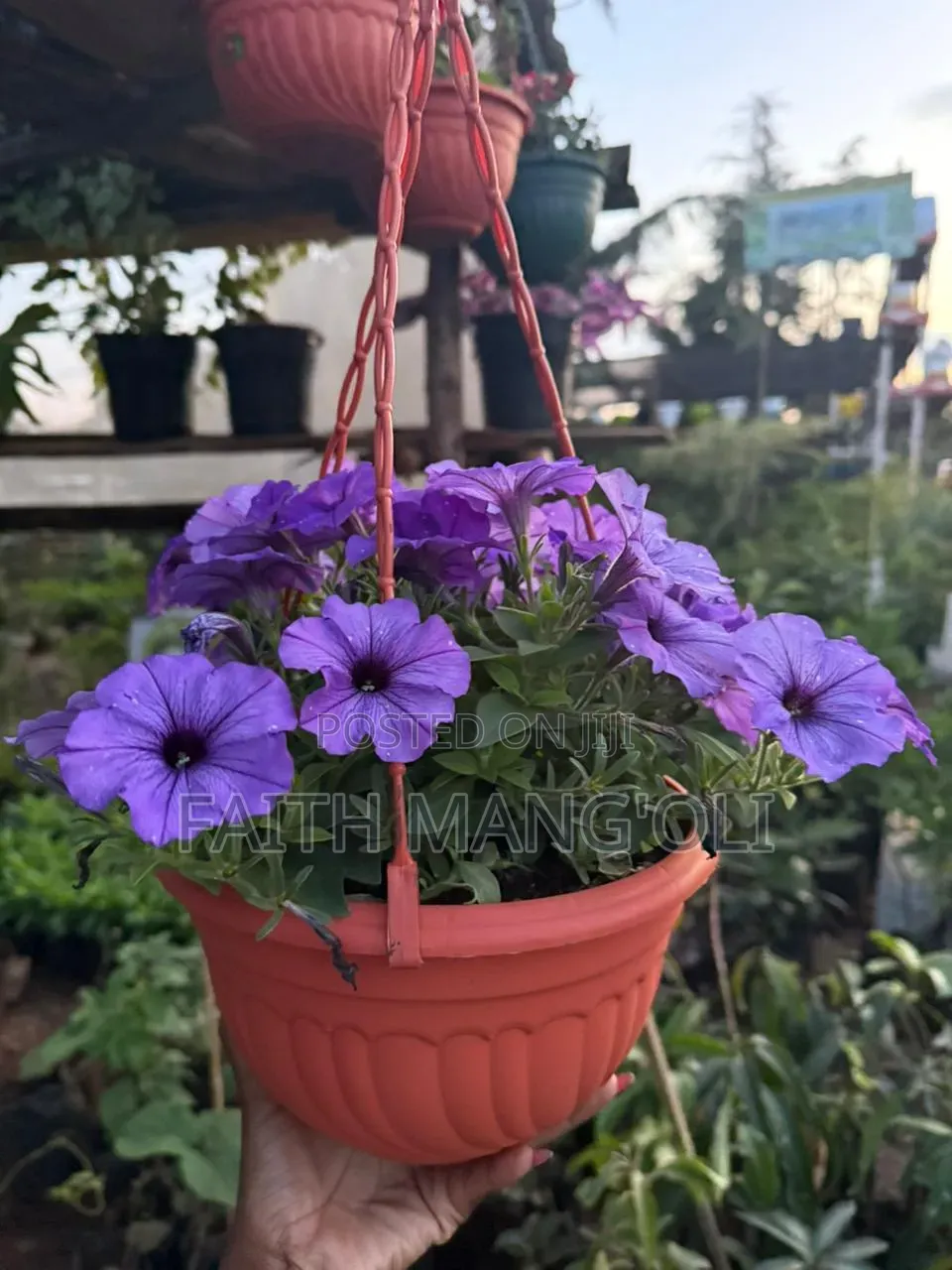 Landscaping and Gardening