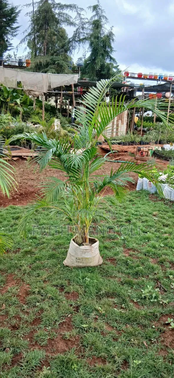 Landscaping and Gardening