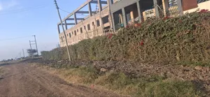 100 by 50 Plot for Sale Juja Farm Athi