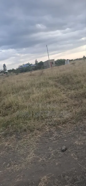 100 by 50 Plot for Sale Juja Farm Athi