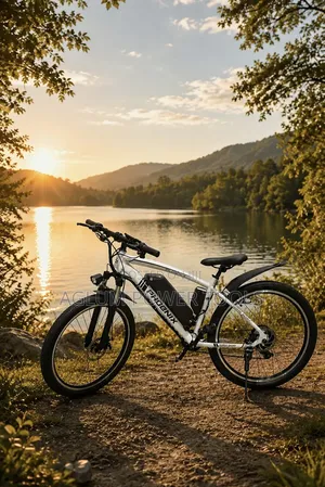 Electric Bikes 350W
