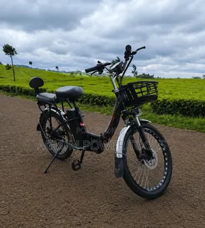 Electric Bikes 350W