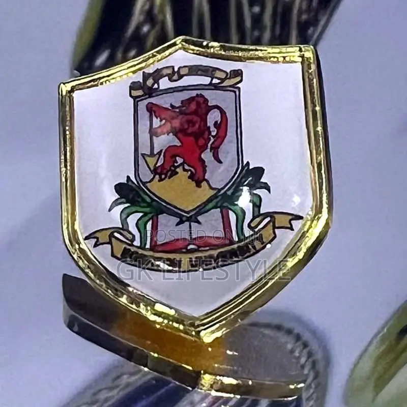 Customized Lapel Pins and Security Badges