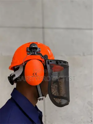 Forestry Combinatory Helmet